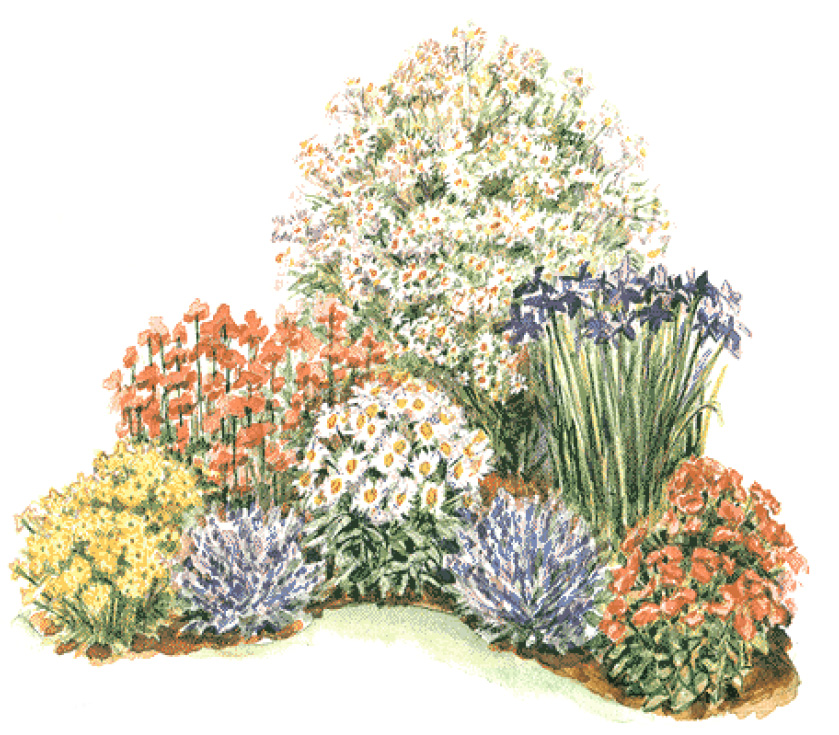 Схемы цветочных клумб (2)