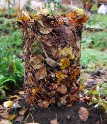 Гортензия - зимнее укрытие в открытом грунте. На расстоянии 20-25 см от куста установите каркас из жесткой пластиковой сетки, см на 10 выше растения. Заполните каркас опавшей листвой