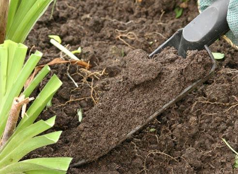 Что такое кислотность почвы: определение и регулирование pH